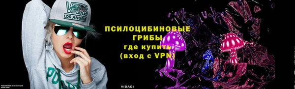 хмурый Бронницы