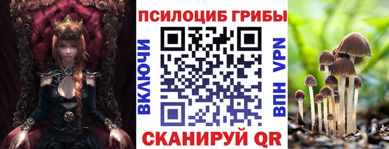 Галлюциногенные грибы прущие грибы  как найти наркотики  Мурино 